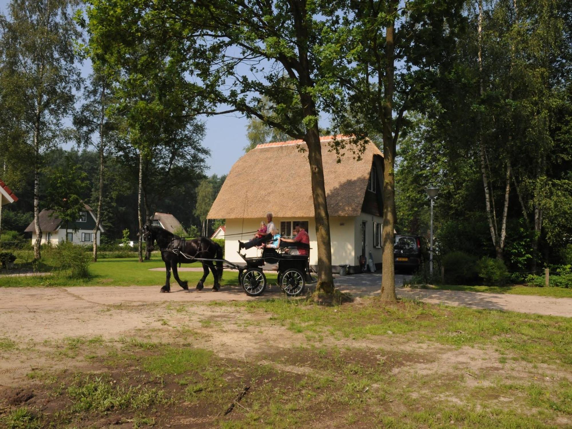 Beautiful Holiday Home In Heeten With Private Garden ภายนอก รูปภาพ